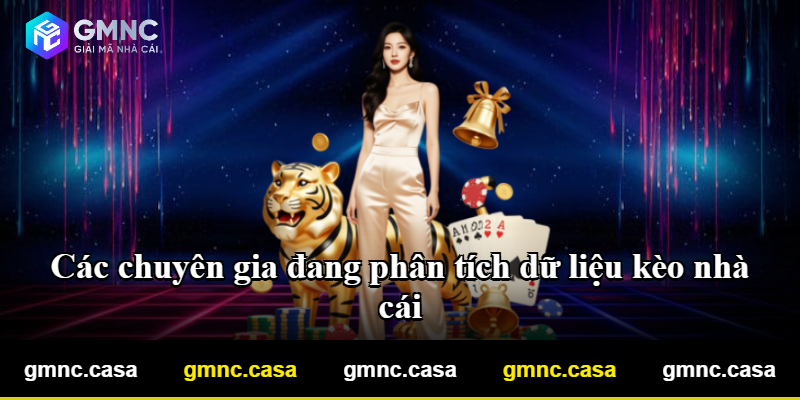 Các chuyên gia đang phân tích dữ liệu kèo nhà cái Các chuyên gia đang phân tích dữ liệu kèo nhà cái